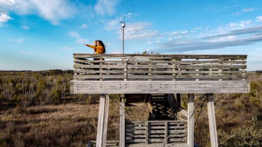 mom and child on a lookout tower pointing into the distance