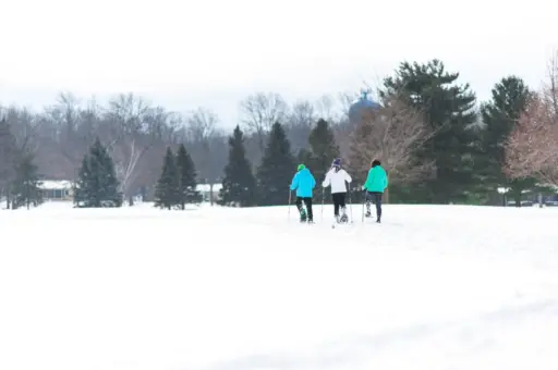 three people snowshoeing